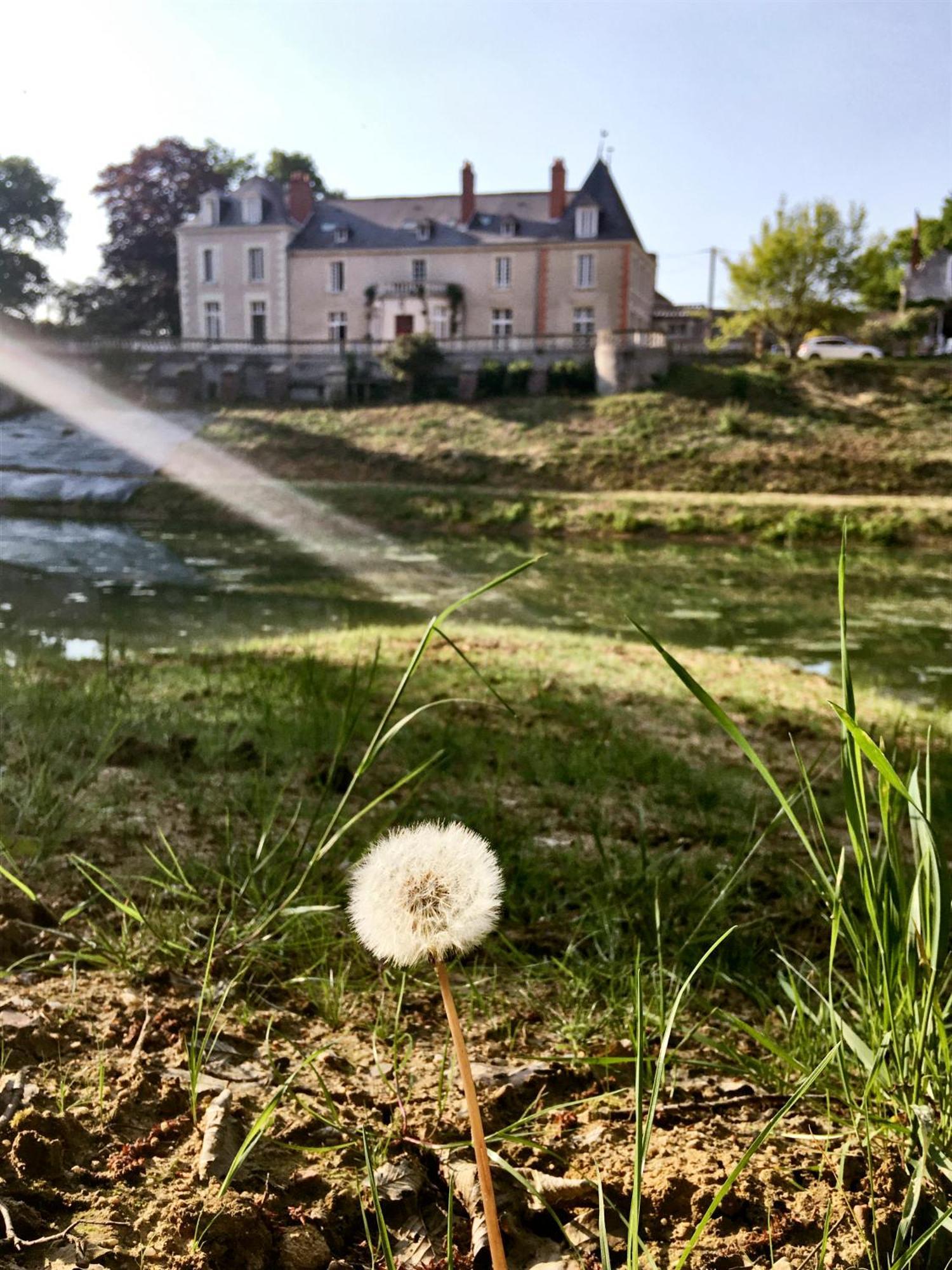 Chateau De La Huberdiere Nazelles-Negron Exterior foto